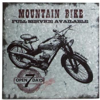 CUADRO MOUNTAIN BIKE HIERRO GALVANIZADO