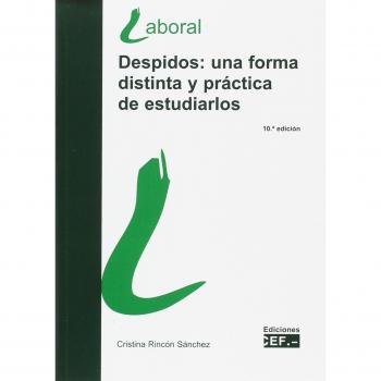 DESPIDOS: UNA FORMA DISTINTA Y PRÁCTICA DE ESTUDIARLOS