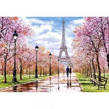 Castorland 1000-Piece Puzzle: Romantic Walk in Paris