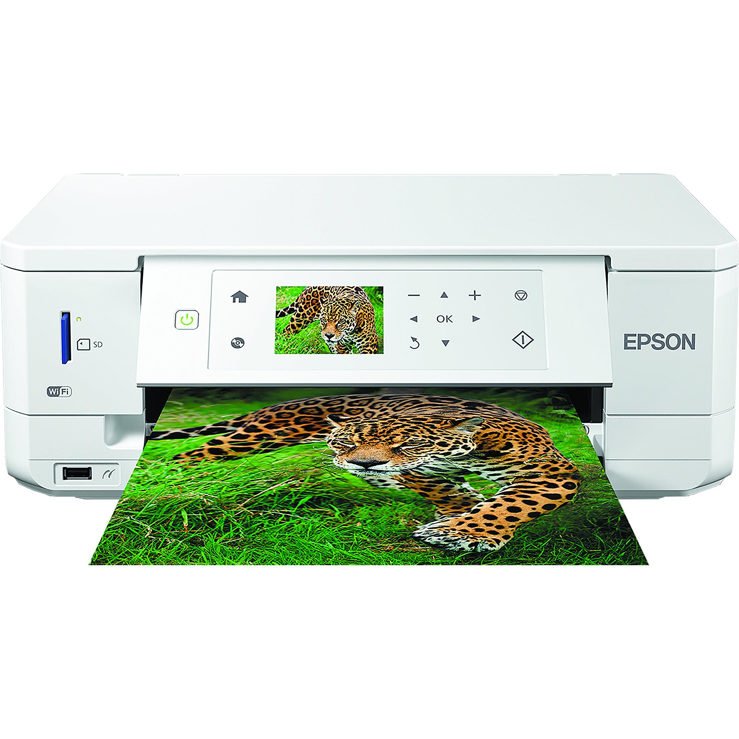 Imagen Principal
