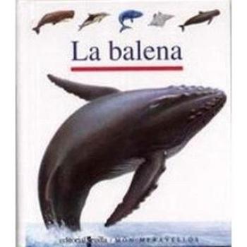 La balena: 43
