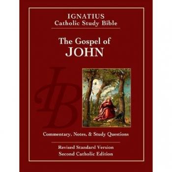 John: R.S.V. Commentary, Notes & Study Questions