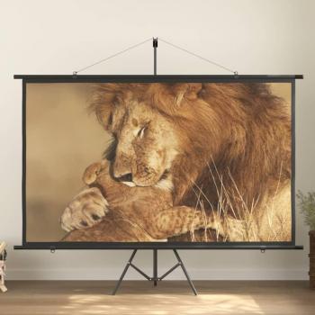 100 16:9 Projection Screen
