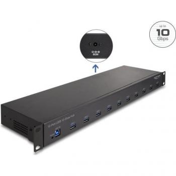 Hub Industrial Delock 19 10 Puertos USB Tipo-A 10 Gbps (64240)