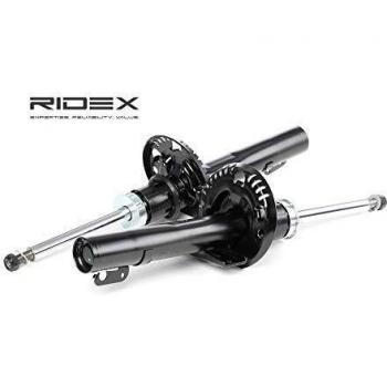 Ridex 854S1248 Amortiguador