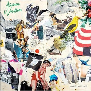 Goodbye Terrible Youth Vinyl Edition