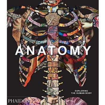 Anatomy: Exploring the Human Body
