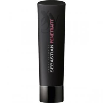 Sebastian Penetraitt Strengthening and Repair Shampoo 250 ml