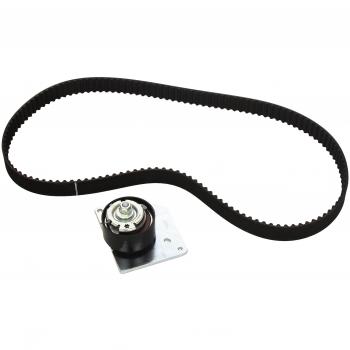 Kit de poleas INA con correa de distribución 530 0579 10