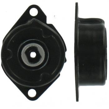 Polea Correa Multiv Skf Vkm 38334
