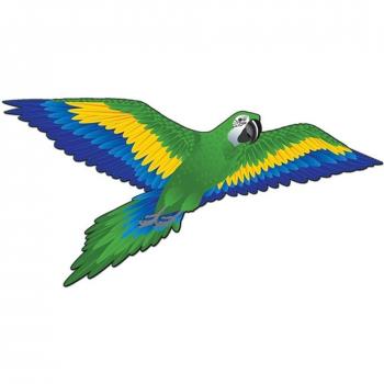 Loro cometa. Verde de afectadamente plumbtap Duratool drogado voladas safetysignsupplies o