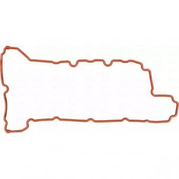 Junta de tapa de válvulas REINZ 71-42189-00 Izquierda, Junta, tapa de culata de cilindro REINZ 71-42189-00