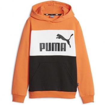 Puma Sudadera Con Capucha Ess Block Fl