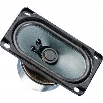 Oval fullrange speaker 8 Ohm 15 W