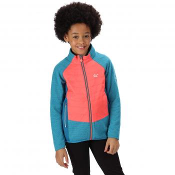 Regatta Chaqueta de forro polar unisex 'Elter' para niños, Unisex niños, Forro polar, RKA282 Z98K13, azul petróleo/azul petróleo, 13 Años