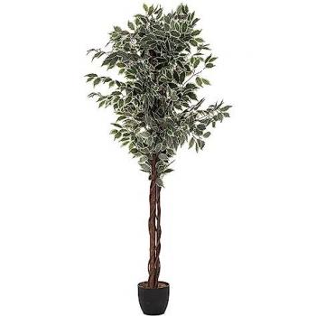 Ficus Artificial Verde Oscuro 180 cm - Decoración Moderna