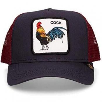Gorra Goorin modelo Prideful 101-0243