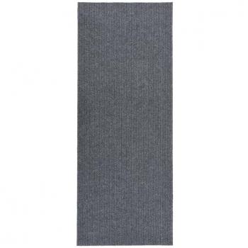 Alfombra de pasillo atrapa suciedad 100x300 cm color antracita, gris - Alfombra de área para sala de estar, dormitorio, habitación y salón