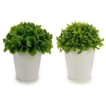 Ibergarden Planta Decorativa Plástico 13 x 17 x 13 cm (12 Unidades)