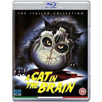 A Cat in the Brain