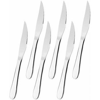 FOXAS Juego de Cuchillos de Carne Cuchillo Chuletero Cubiertos de Cocina, 6 Piezas, Acero Inoxidable