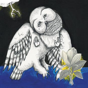 Magnolia Electric Co. - 10 Year Anniversary Edition [VINYL]