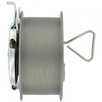 SKF VKM 11250 Kit tensor de distribución