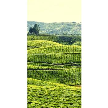 peelitstickit id-0777 60 ancho x 130 cm de altura Hermosa Naturaleza Mural de pared vinilo de alta calidad