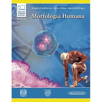Morfología Humana