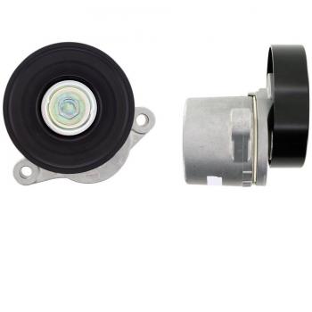 SKF VKM 66005 Kit tensor multi-V