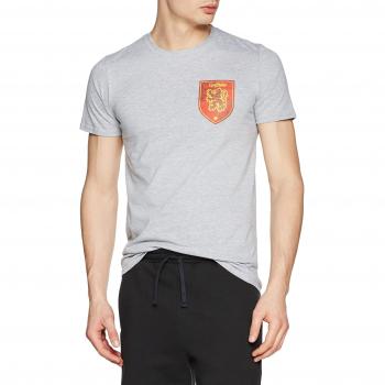 HARRY POTTER House Gryffindor Camiseta, Grey