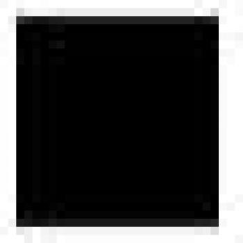 PANTY NUDE DIBUJO PLUMETI, COLOR NEGRO, TALLA G