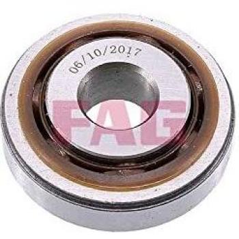 Cojinete de rodillos FAG Top mount 713 0396 20, columna amortiguación