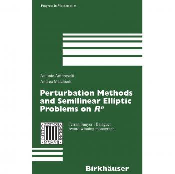 Perturbation Methods and Semilinear Elliptic Problems on R^n - Advanced Mathematical Techniques