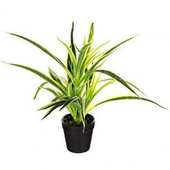 Planta Artificial en Maceta de Cemento H30cm - Modelo 3 - Atmosphera