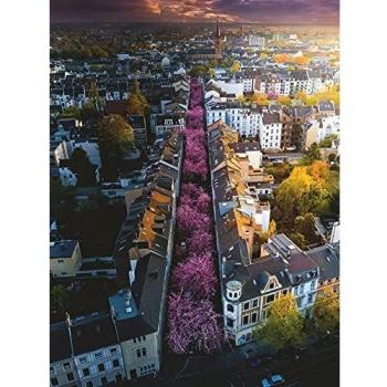 Puzzle Ravensburger Islandia: Kirkjuffellsfoss (1500 piezas)