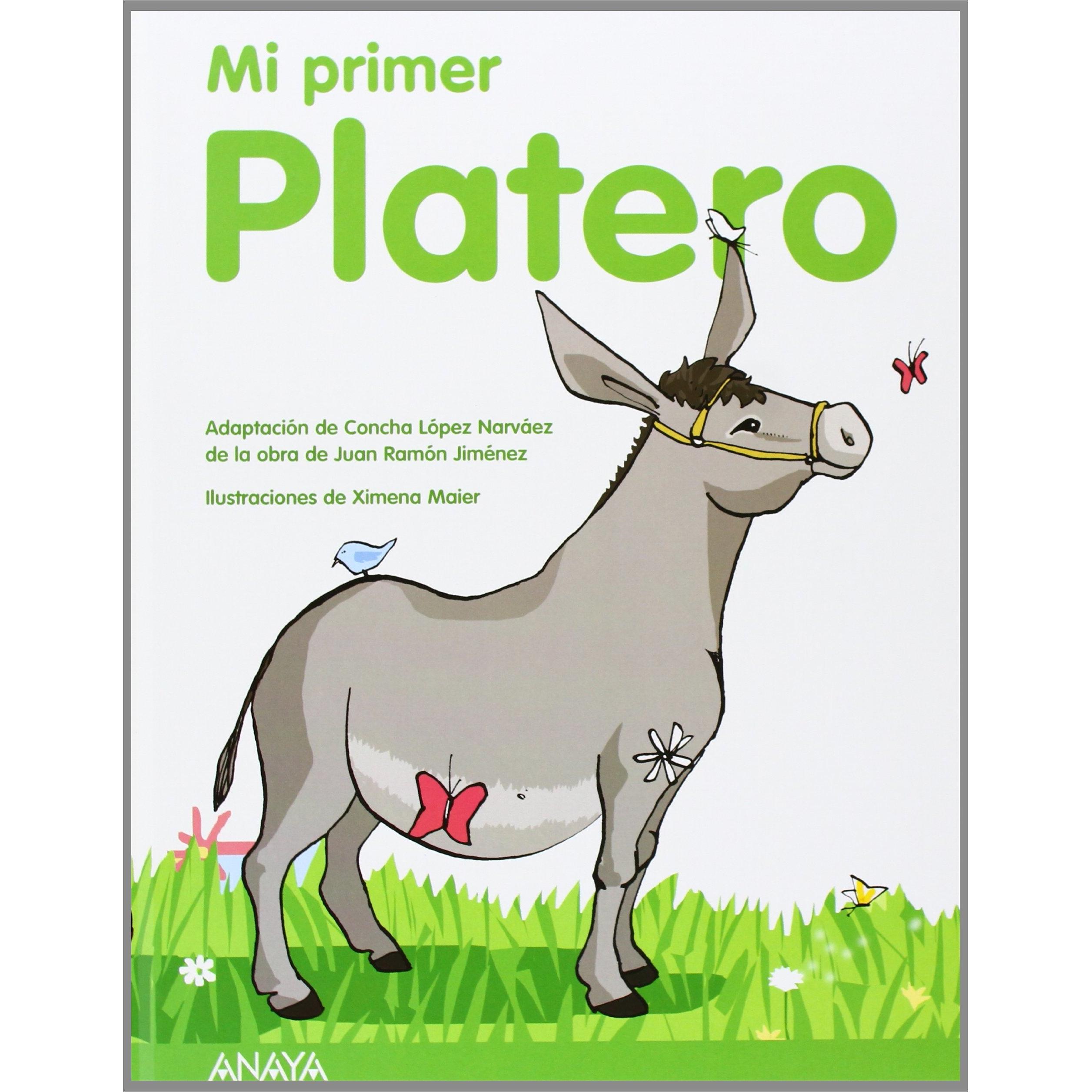 Imagen Principal
