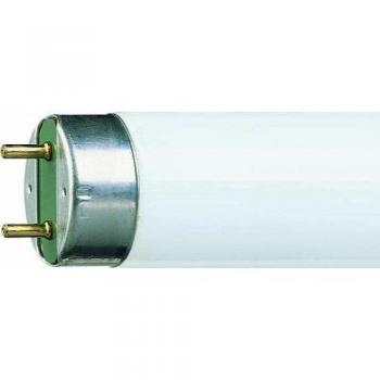 Tubo T8 Luxline Plus 30W 827 Especial Sylvania