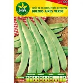 SEMILLAS JUDIA VERDE B AIRES CAJA 100GR
