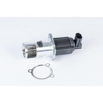 Válvula EGR BorgWarner Wahler 710723D - Válvula de recirculación de gases de escape, compatible con múltiples modelos de vehículos, fabricada en materiales duraderos para una larga vida útil, diseño optimizado