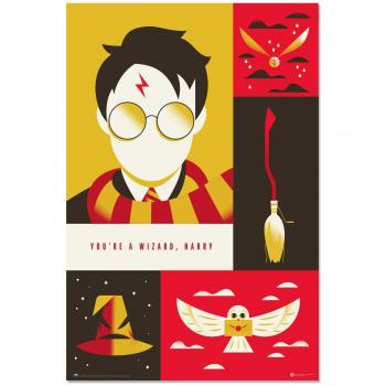 Póster de Harry Potter del 100 Aniversario WB 91.5x61cm