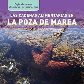 Las Cadenas Alimentarias En La Poza de Marea