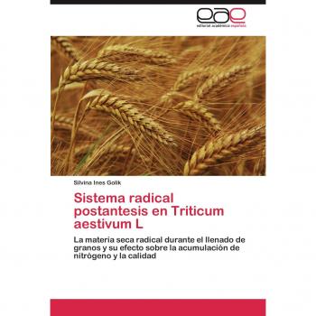 Sistema radical postantesis en Triticum aestivum L: La materia seca radical durante el llenado de granos y su efecto sobre la acumulación de nitrógeno y la calidad