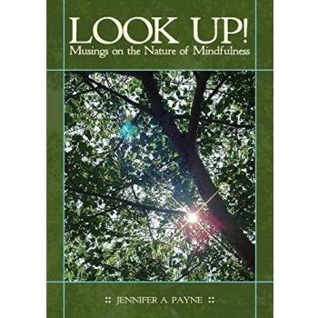 Reflexiones sobre la Naturaleza de la Atención Plena: Look Up!
