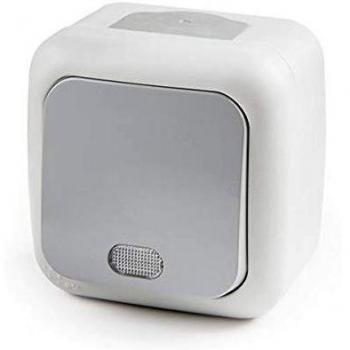 Greenice | Pulsador Luminoso 10A 250V IP54 Gris