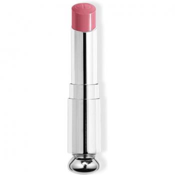 DIOR - Dior Addict Recarga De Barra De Labios Brillante 373 Rose Celestial