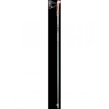 Bastones de Nordic Walking LEKI Passion 100 cm Verde Unisex