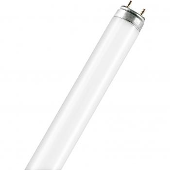 Osram FLUORA T8 - Lámpara fluorescente, G13L 15 W/77