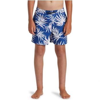 Quiksilver - Short de natación de niños Everyday Mix Volley azul y blanco, talla 16