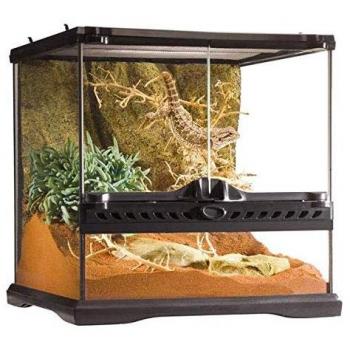Exo Terra Glass Natural Terrarium, Mini/Wide, 30 x 30 x 30 cm